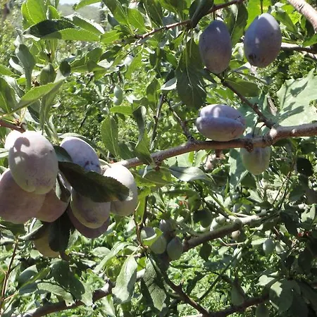 מלון Manzara אולודניץ