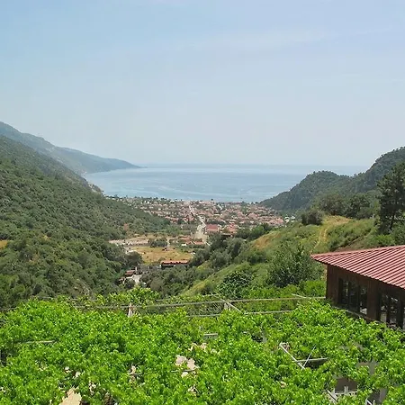 Hotel Manzara Oludeniz