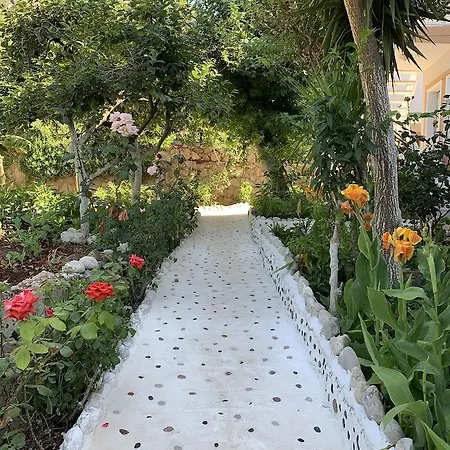 Manzara 2* Ölüdeniz