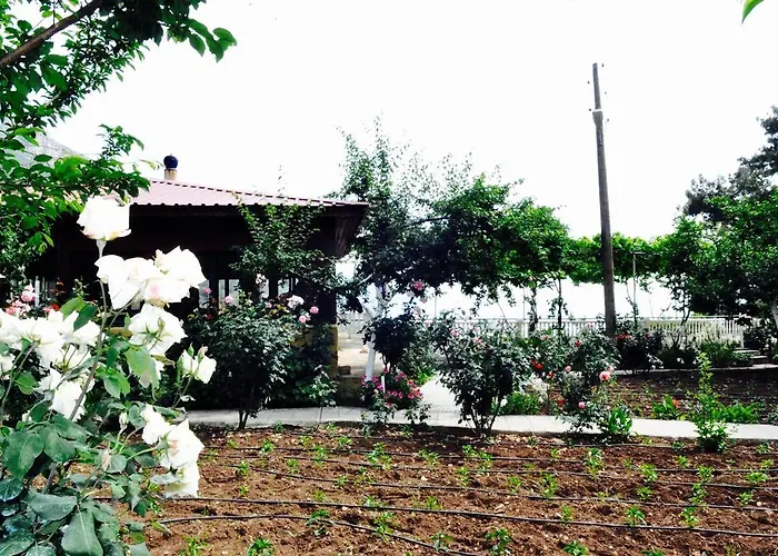 Manzara Otel 2*