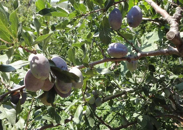 Otel Manzara Ölüdeniz