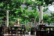 Szálloda Manzara Oludeniz