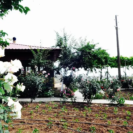 Manzara Hotel 2*
