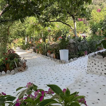 Manzara Hotel