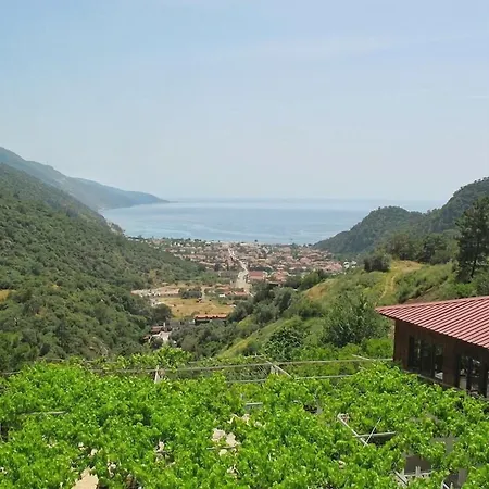 Manzara 2* Ölüdeniz